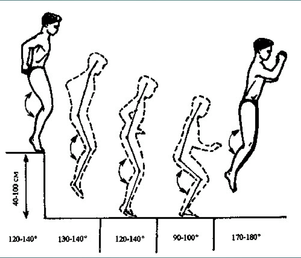 463888837_2900555246776591_8769661405732290826_n
